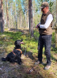 Siipi ja Markku